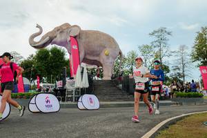 BIB: 
                            <button type="button" onclick="openModal(26528972)" class="btn btn-primary btn-sm float-right btn-popup" data-toggle="modal" data-target=".modal-high-quality">
                        <i class="fas fa-shopping-cart"></i> Add to Cart
                    </button>
                                            <button type="button" onclick="isThisMe(26528972, true)" class="btn btn-success btn-sm float-right btn-popup btn-isme hidden" data-toggle="tooltip" data-placement="bottom" title="นี่คือรูปของคุณใช่ไหม คลิกที่นี่เพื่อเอาเข้าอัลบั้ม">
                        <i class="fas fa-plus"></i> Add to album
                    </button>
                    <button type="button" onclick="isThisMe(26528972, false)" class="btn btn-warning btn-sm float-right btn-popup btn-isnotme hidden">
                        <i class="fas fa-ban"></i> Remove from album
                    </button>